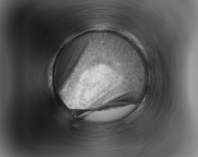 X0000087591226200705181213