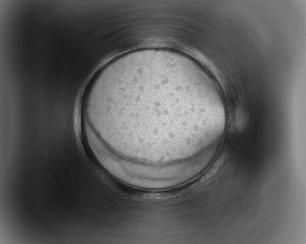 X0000087591227200705181213