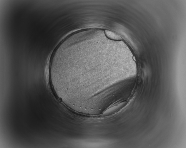 X0000087591228200705181213