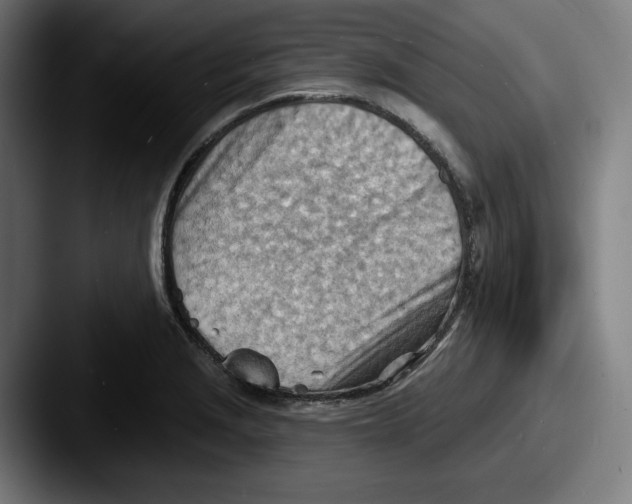 X0000087591229200705181213