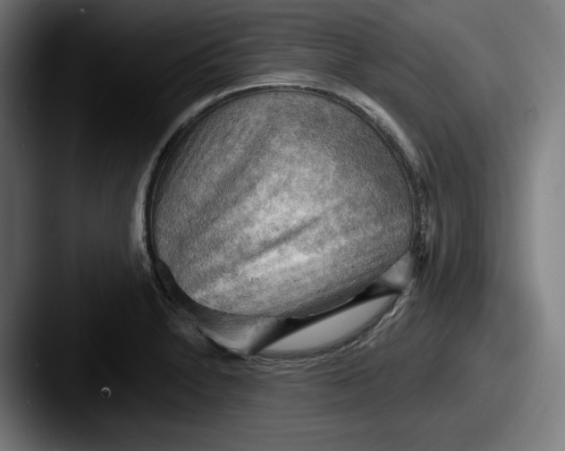 X0000087591230200705181213