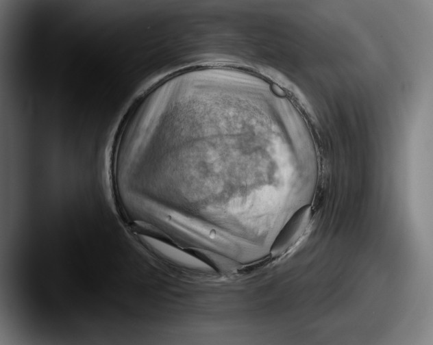 X0000087591231200705181213