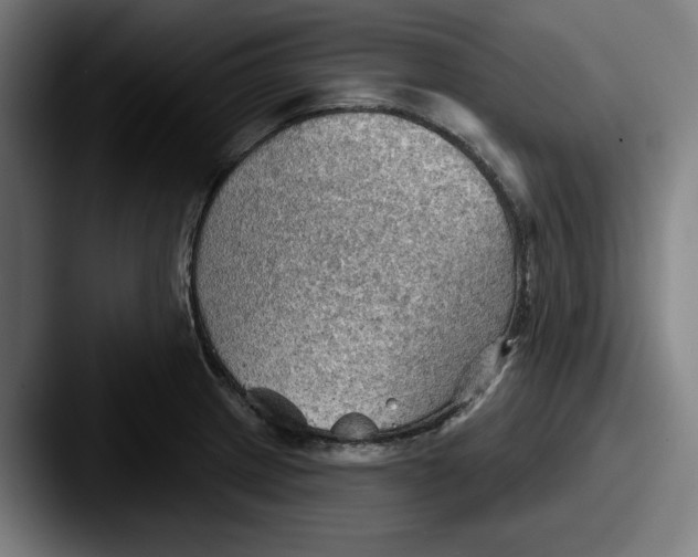 X0000087591233200705181213