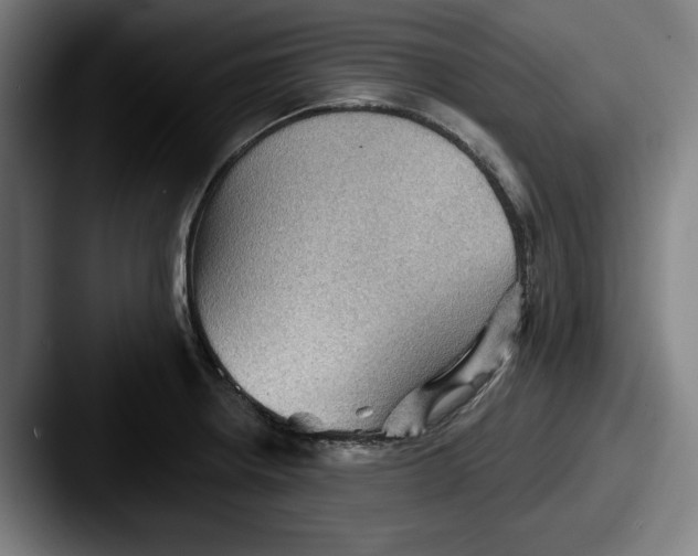 X0000087591234200705181213