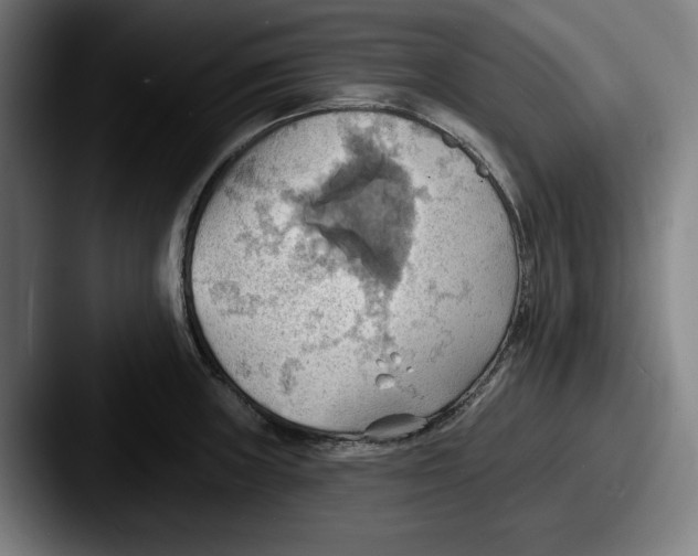 X0000087591235200705181213