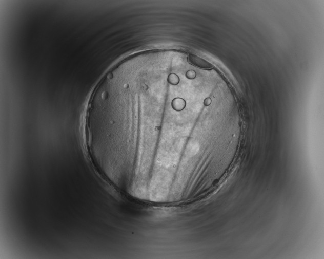 X0000087591236200705181213