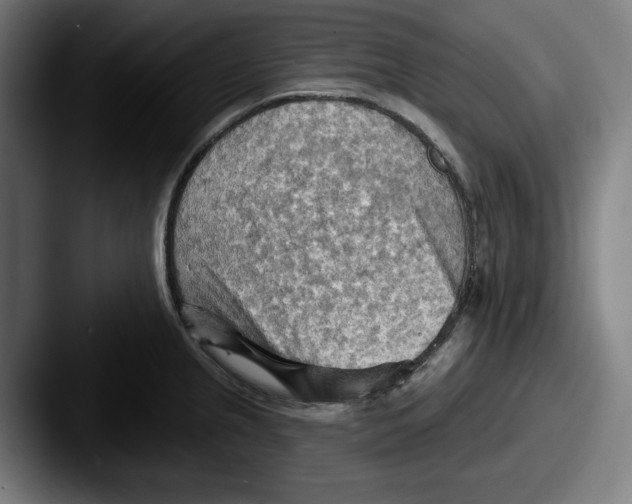 X0000087591237200705181213