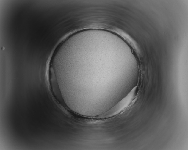 X0000087591238200705181213