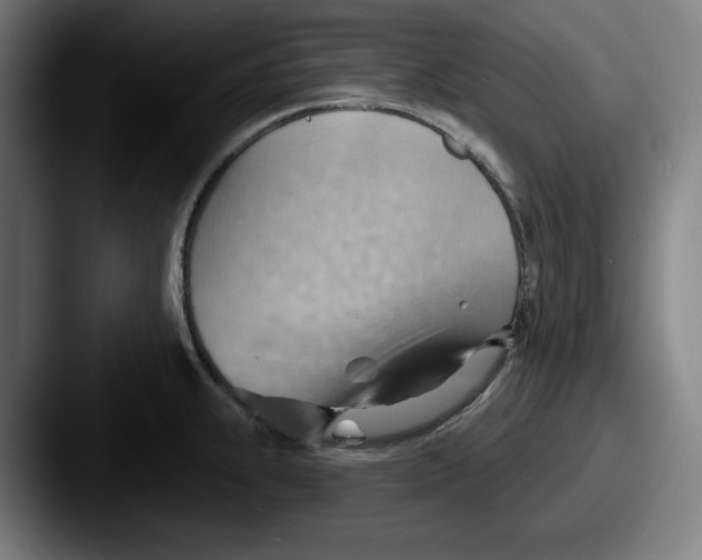 X0000087591239200705181213