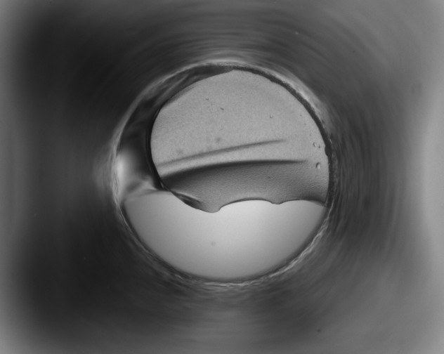 X0000087591240200705181213