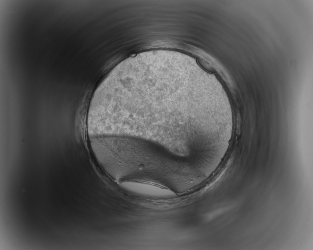 X0000087591241200705181213