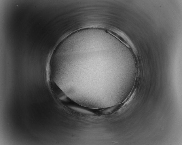 X0000087591242200705181213