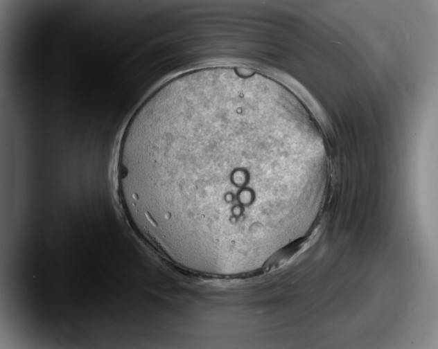 X0000087591244200705181213