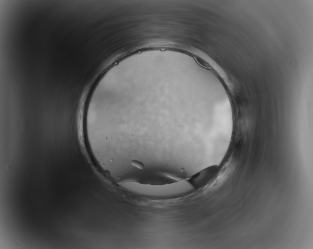 X0000087591245200705181213