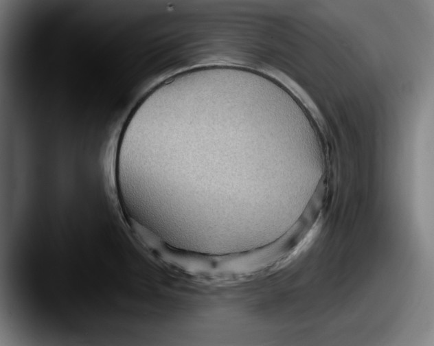 X0000087591246200705181213