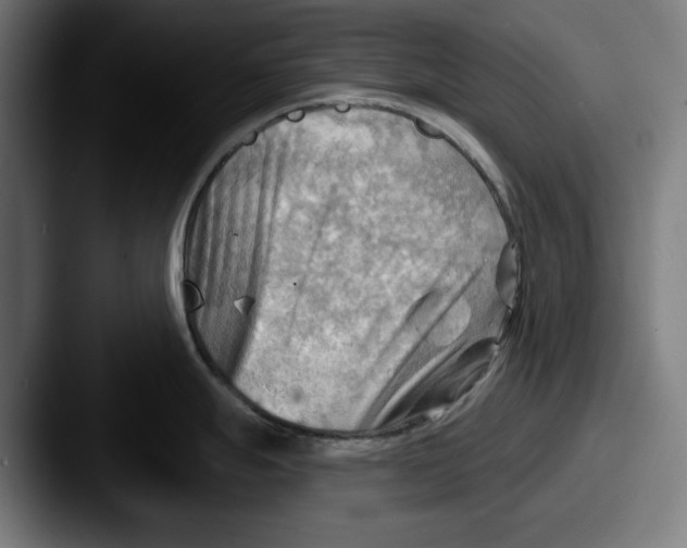 X0000087591247200705181213