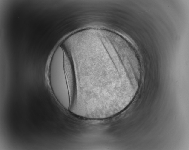 X0000087591248200705181213