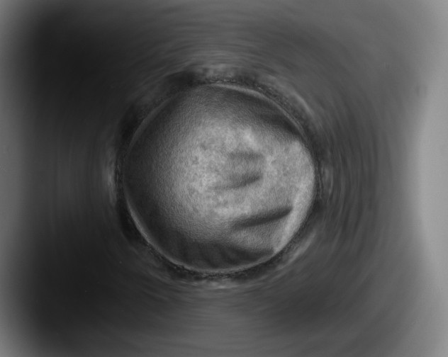 X0000087591250200705181213