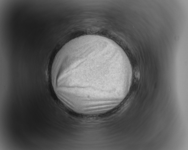 X0000087591252200705181213