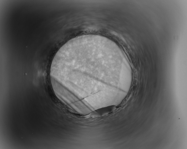 X0000087591254200705181213