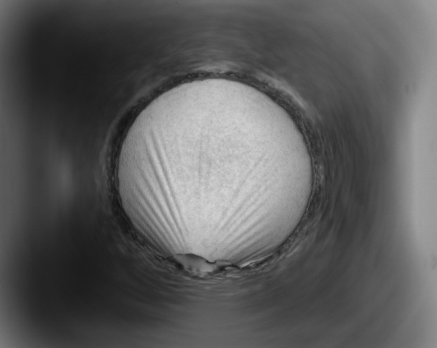 X0000087591256200705181213