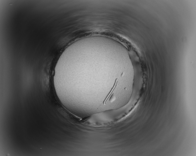 X0000087591257200705181213