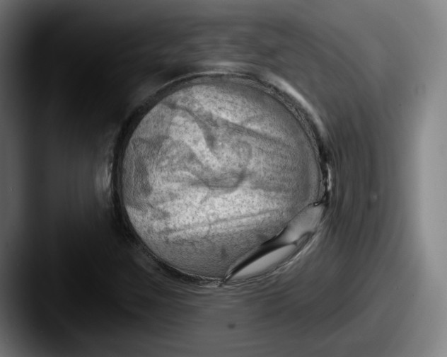 X0000087591259200705181213