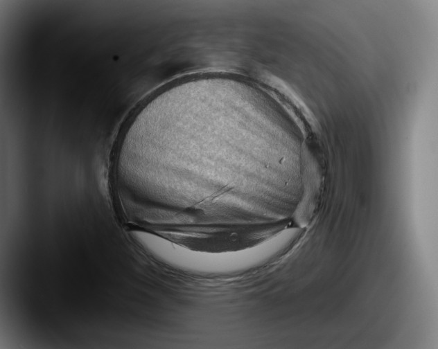 X0000087591260200705181213