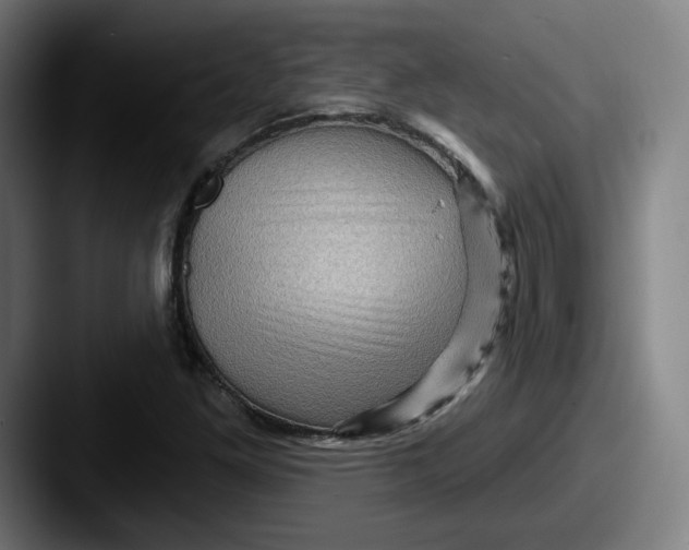 X0000087591261200705181213