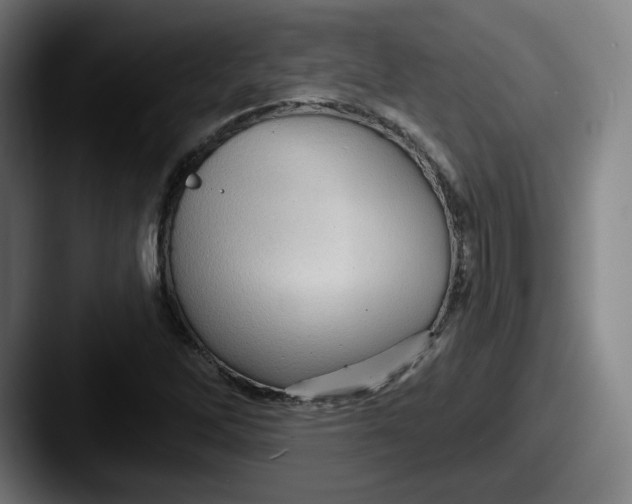 X0000087591262200705181213