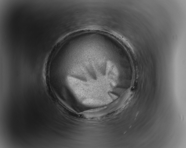 X0000087591264200705181212