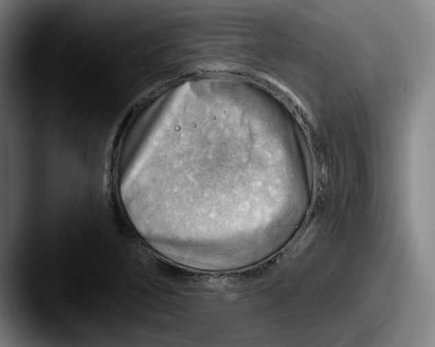 X0000087591266200705181212