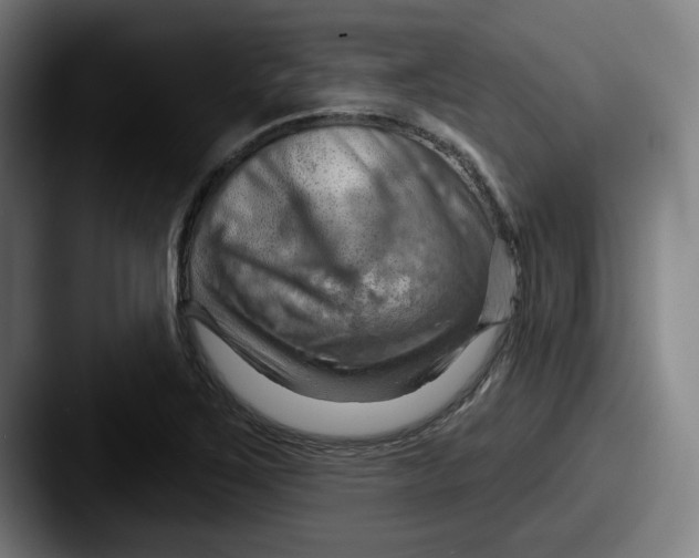 X0000087591267200705181212