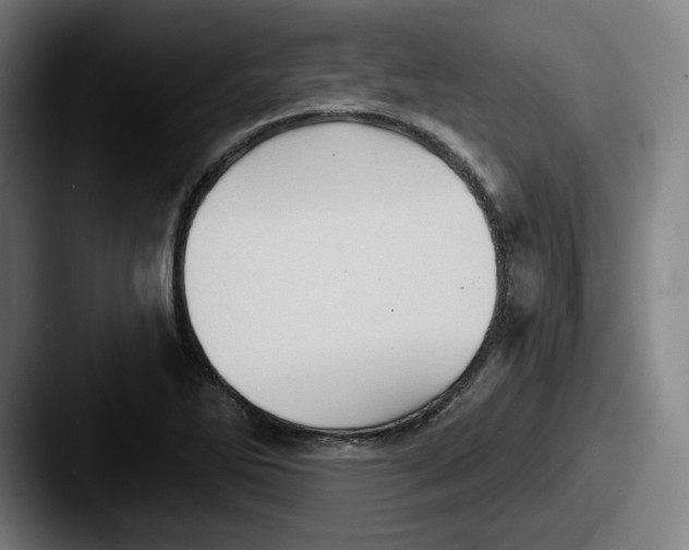 X0000087591270200705181212