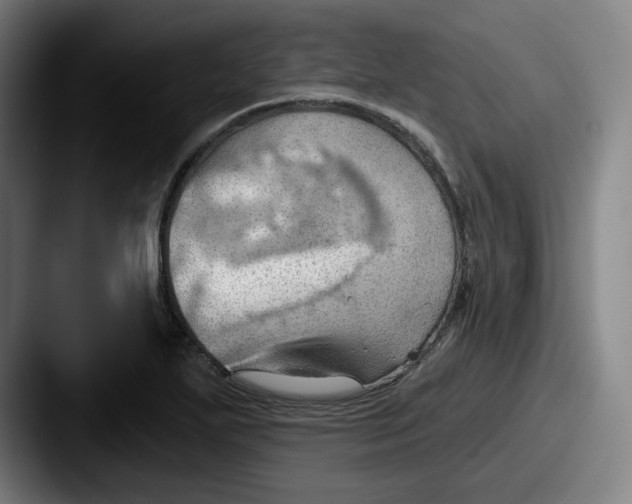 X0000087591271200705181212