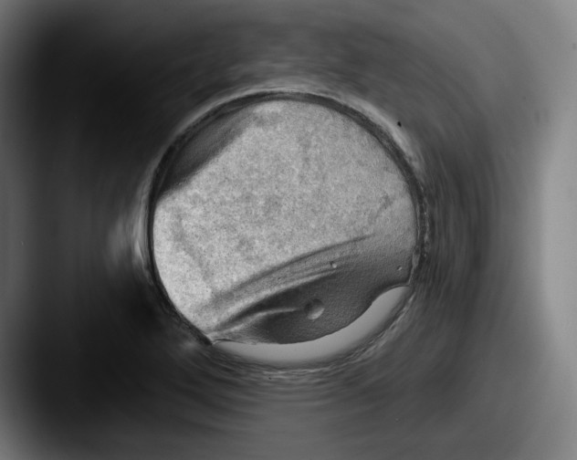 X0000087591272200705181212