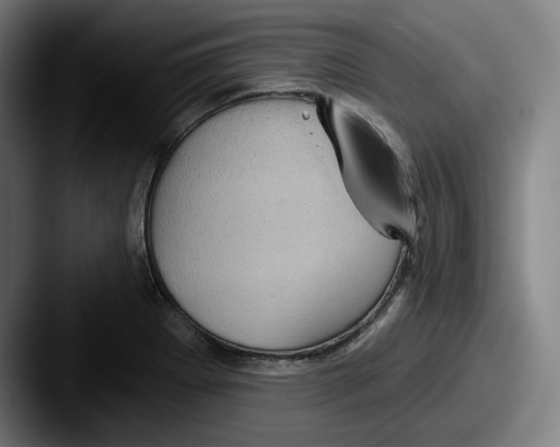 X0000087591273200705181212