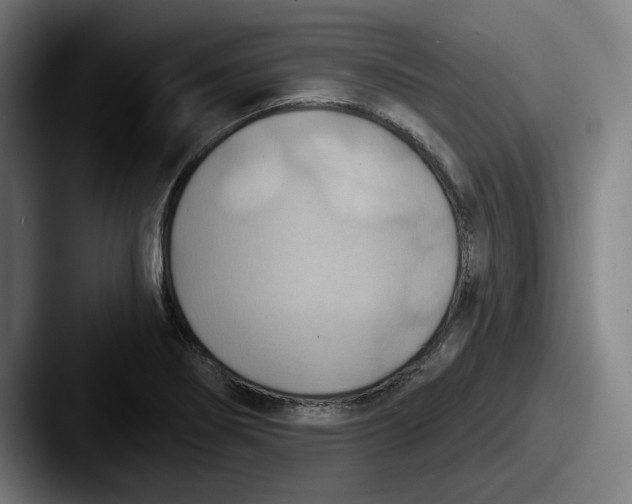 X0000087591274200705181212