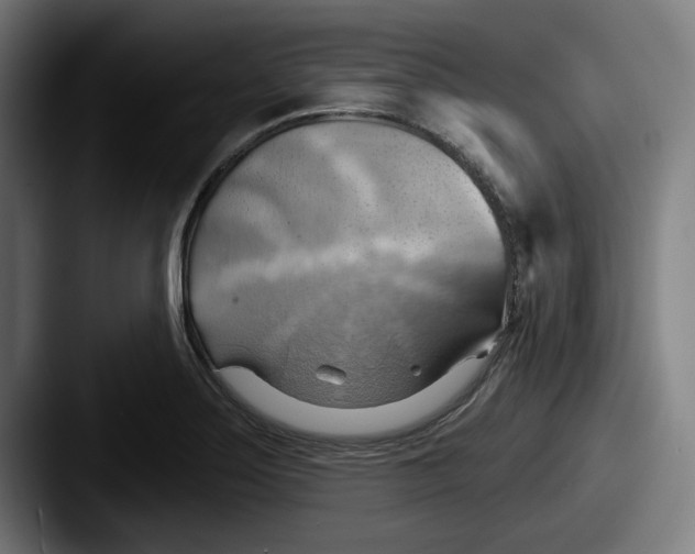 X0000087591275200705181212