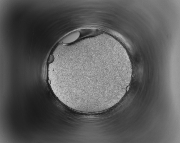 X0000087591276200705181212