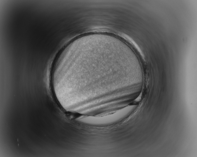 X0000087591277200705181212