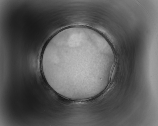 X0000087591278200705181212