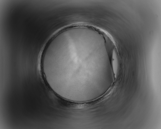 X0000087591279200705181212