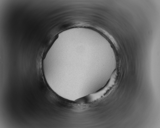 X0000087591281200705181212