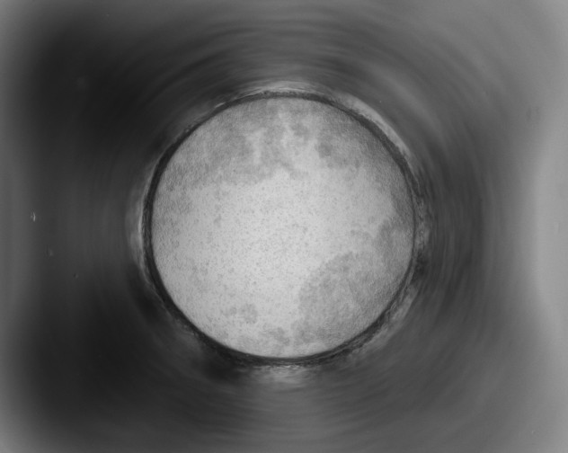 X0000087591282200705181212