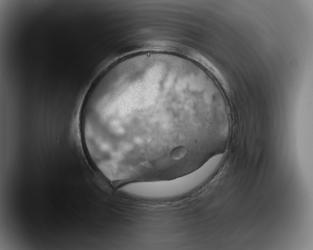 X0000087591283200705181212