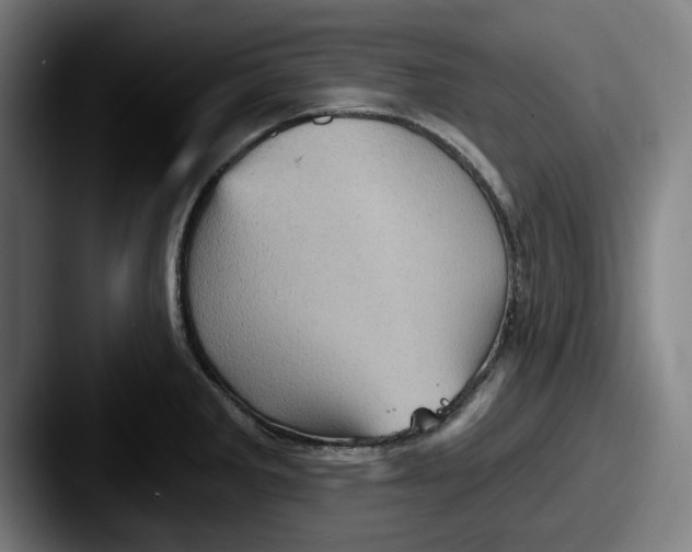 X0000087591285200705181212