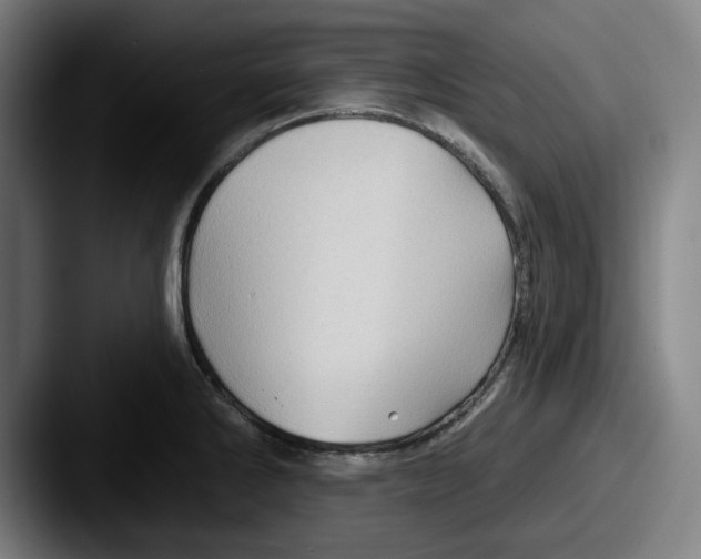 X0000087591286200705181212