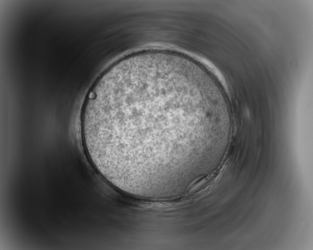 X0000087591287200705181212