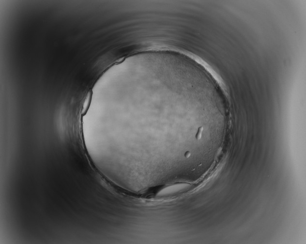 X0000087591289200705181212